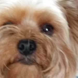 Meet your Posher, Cynthia